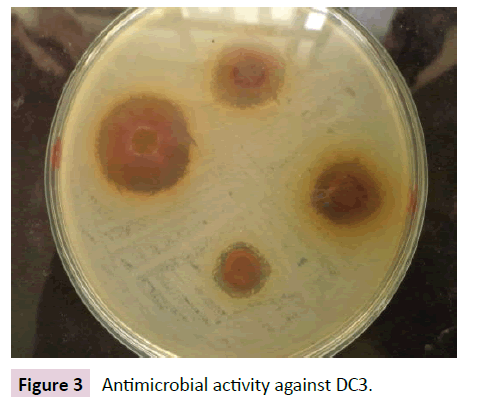 Archives-Clinical-Microbiology-Antimicrobial-activity-against-DC3