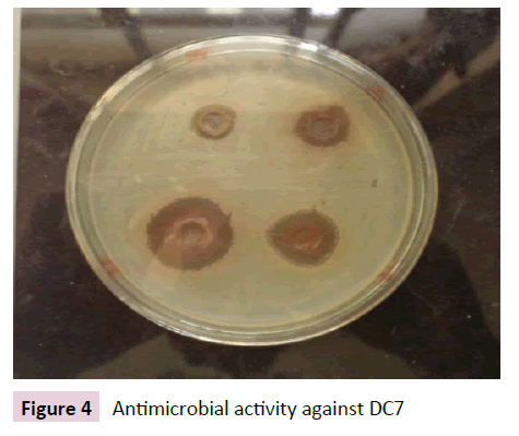 Archives-Clinical-Microbiology-Antimicrobial-activity-against-DC7