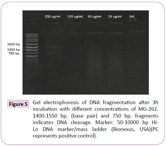 Archives-Clinical-Microbiology-DNA-fragmentation