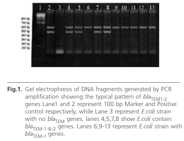Archives-Clinical-Microbiology-DNA-fragments-generated