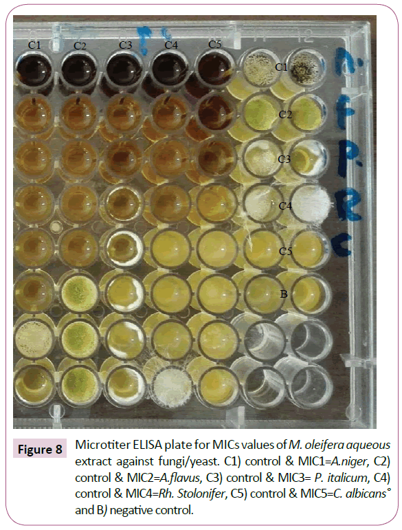 Archives-Clinical-Microbiology-ELISA-plate-MICs