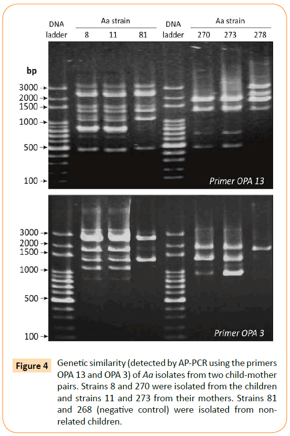 Archives-Clinical-Microbiology-Genetic-similarity-detected