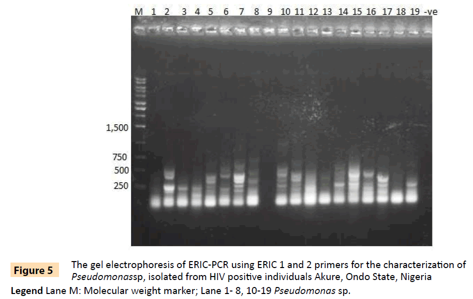 Archives-Clinical-Microbiology-HIV-positive-individuals