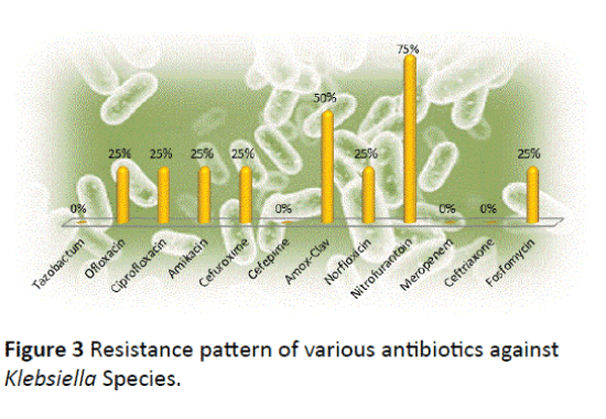 Archives-Clinical-Microbiology-Klebsiella-Species