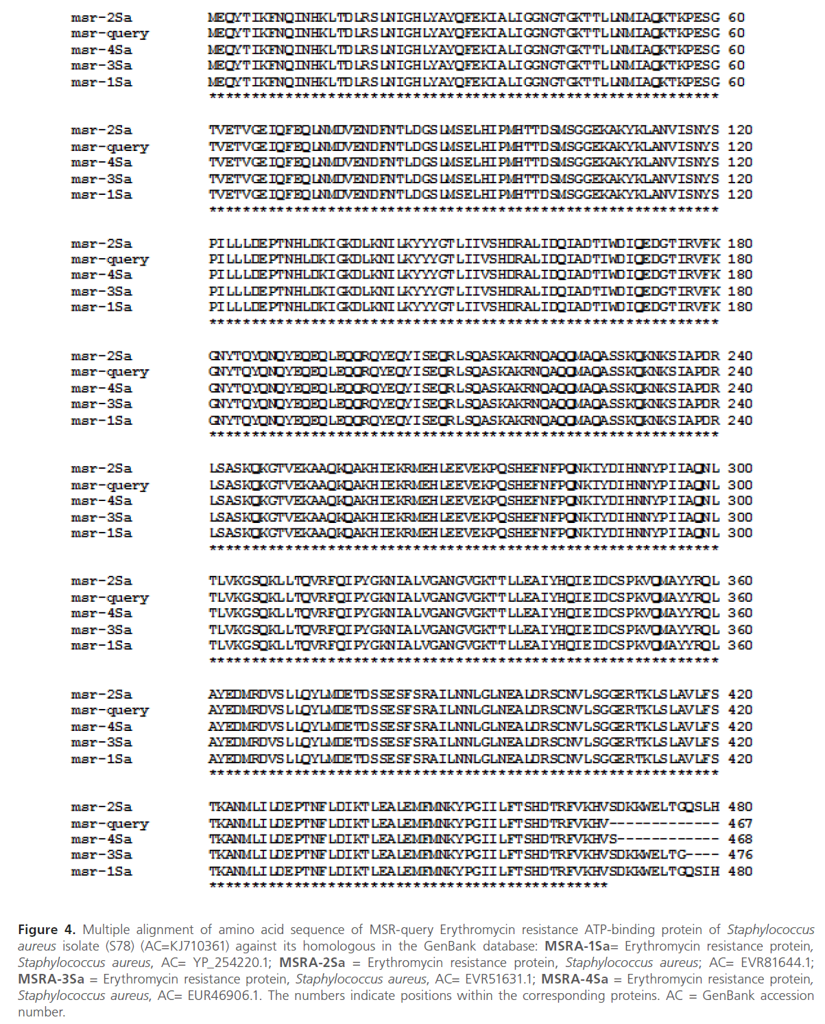 Archives-Clinical-Microbiology-MSR-query-Erythromycin