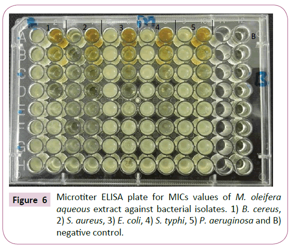 Archives-Clinical-Microbiology-Microtiter-ELISA-plate