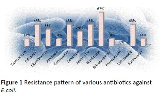 Archives-Clinical-Microbiology-Resistance-pattern