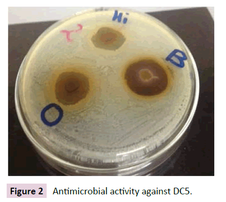 Archives-Clinical-Microbiology-activity-against-DC5