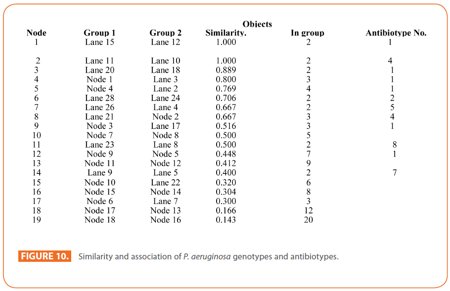 Archives-Clinical-Microbiology-aeruginosa-genotypes-antibiotypes