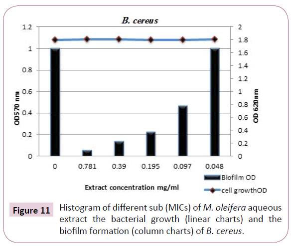 Archives-Clinical-Microbiology-bacterial-growth