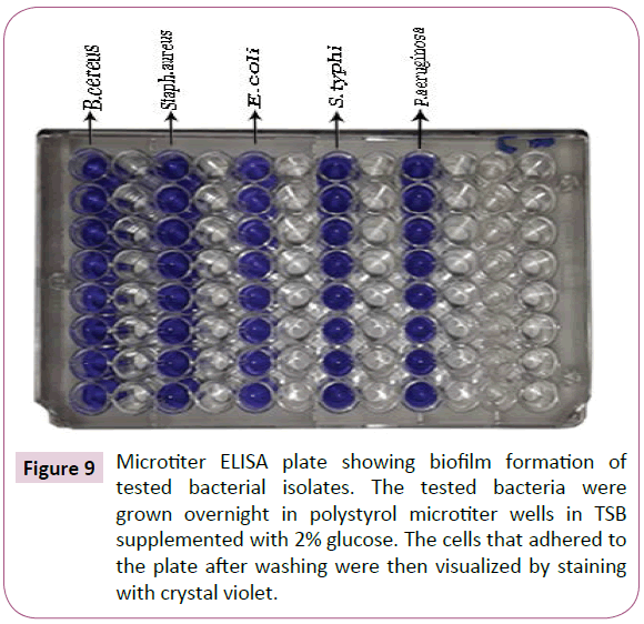 Archives-Clinical-Microbiology-bacterial-isolates