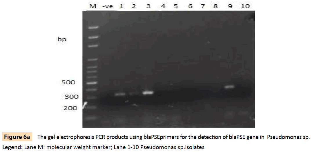 Archives-Clinical-Microbiology-electrophoresis-PCR-products