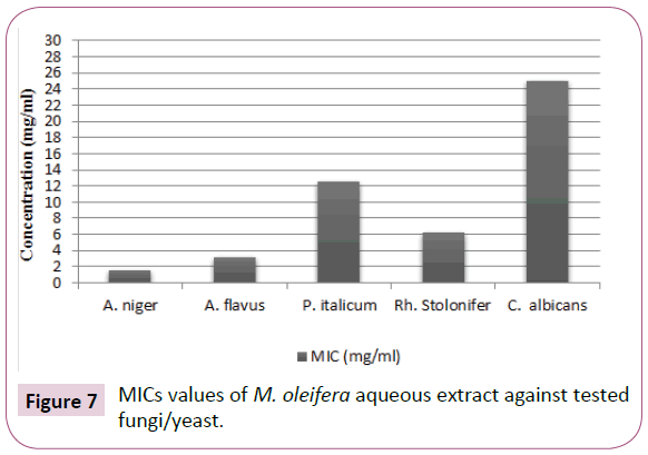 Archives-Clinical-Microbiology-fungi-yeast