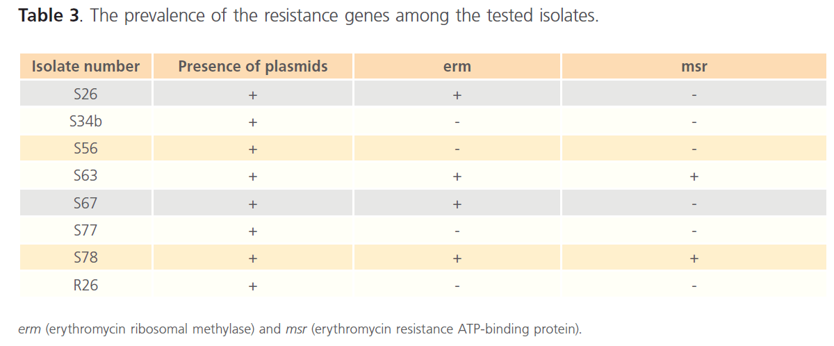 Archives-Clinical-Microbiology-genes-tested-isolates