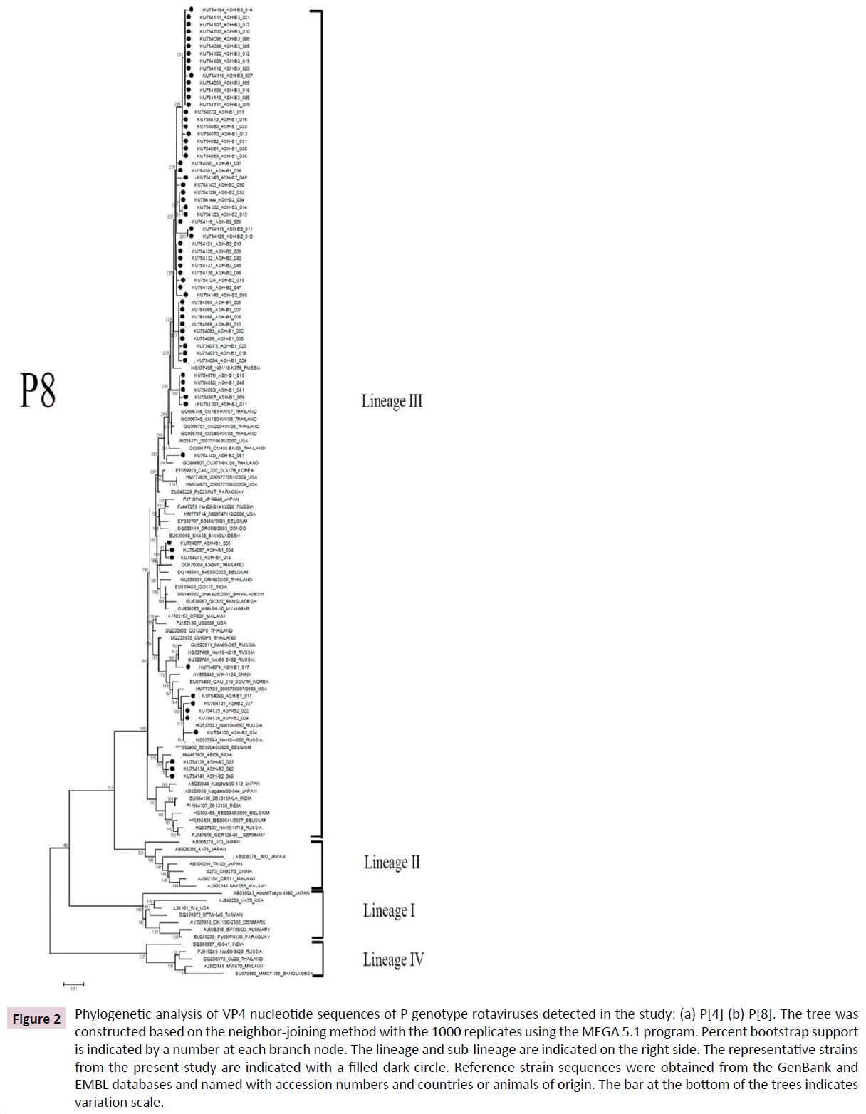 Archives-Clinical-Microbiology-genotype-rotaviruses