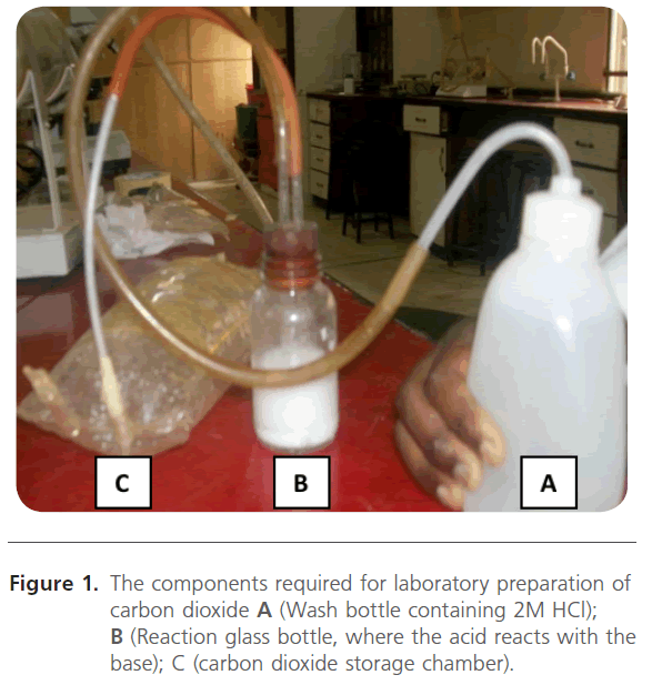 Archives-Clinical-Microbiology-laboratory-preparation