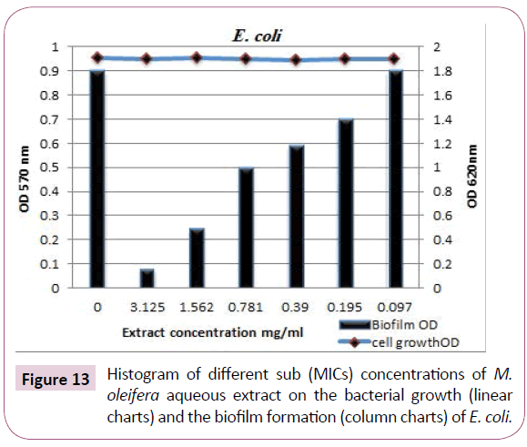 Archives-Clinical-Microbiology-oleifera-aqueous-extract