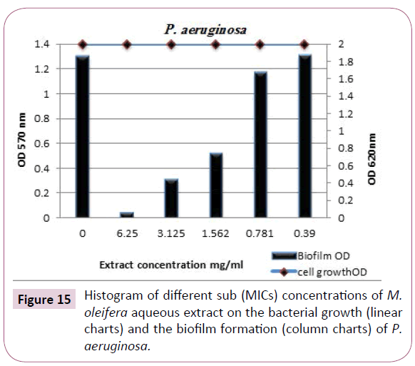 Archives-Clinical-Microbiology-oleifera-aqueous-extract