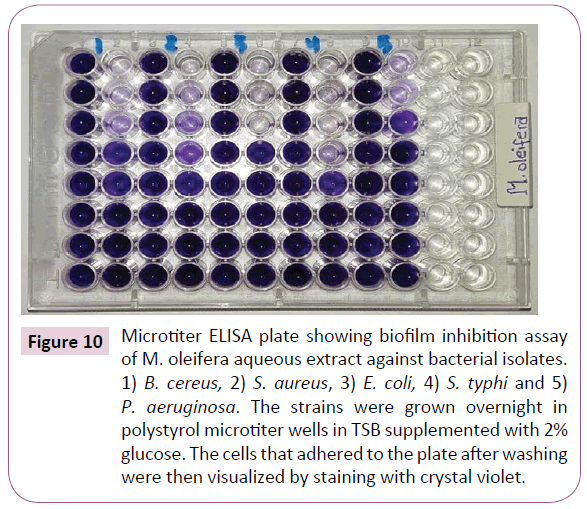 Archives-Clinical-Microbiology-polystyrol-microtiter