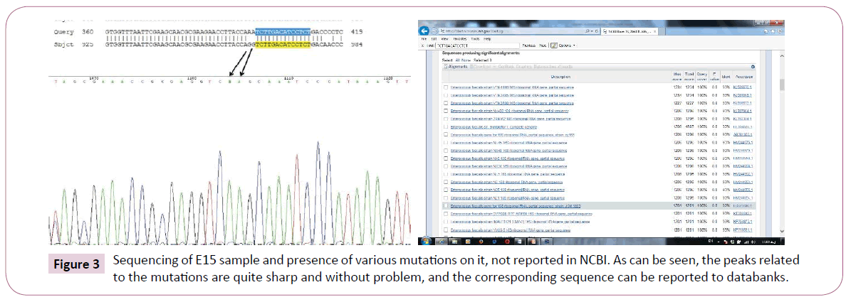 Archives-Clinical-Microbiology-presence-various-mutations