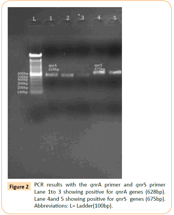 Archives-Clinical-Microbiology-qnrA-primer-qnrS