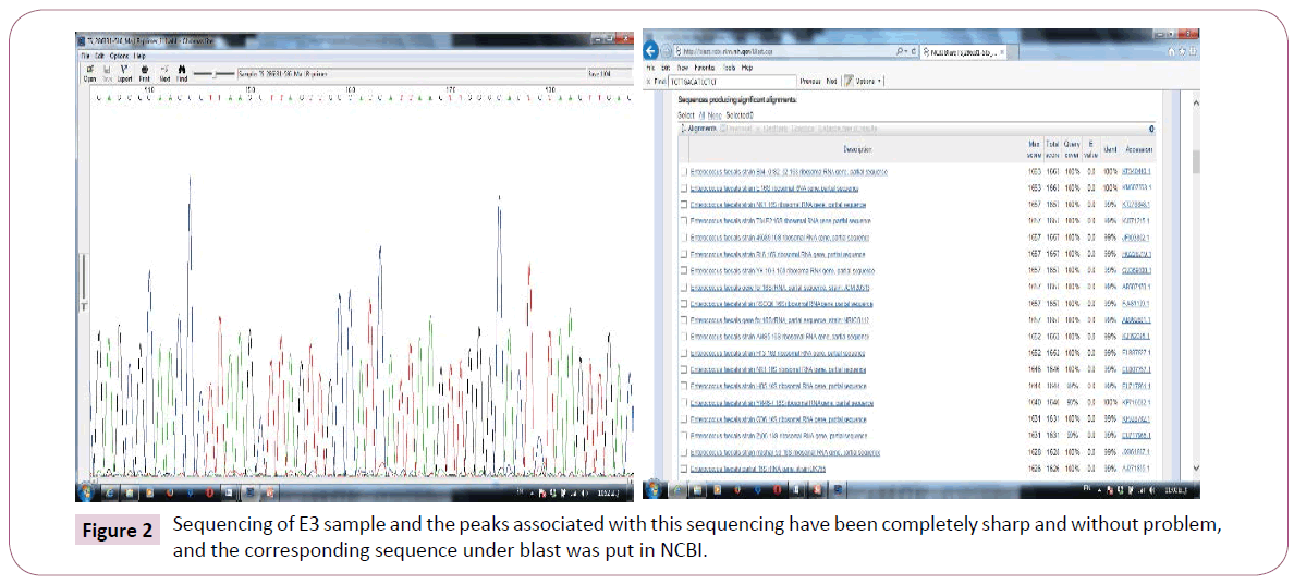 Archives-Clinical-Microbiology-sequence-under-blast