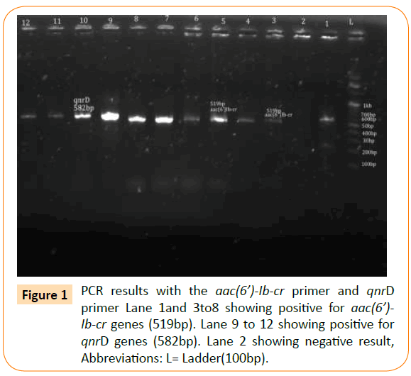 Archives-Clinical-Microbiology-showing-negative-result