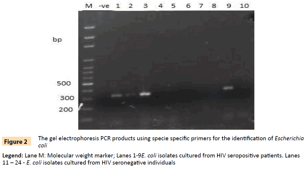 Archives-Clinical-Microbiology-specie-specific-primers