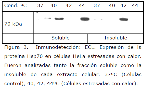 Archivos-de-Medicina-Fueron-analizadas