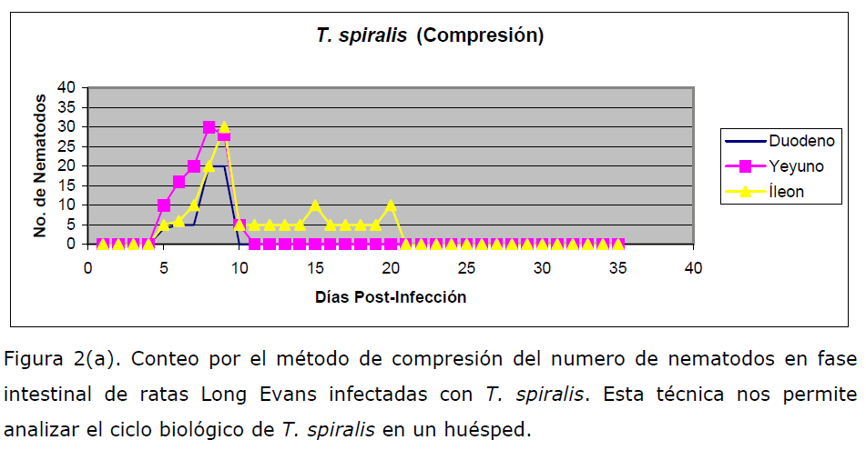 Archivos-de-Medicina-Long-Evans-infectadasl