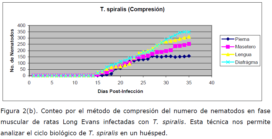 Archivos-de-Medicina-Long-Evans-infectadasl