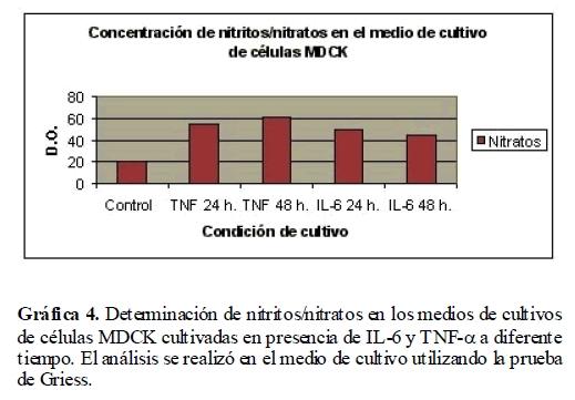 Archivos-de-Medicina-MDCK-cultivadas