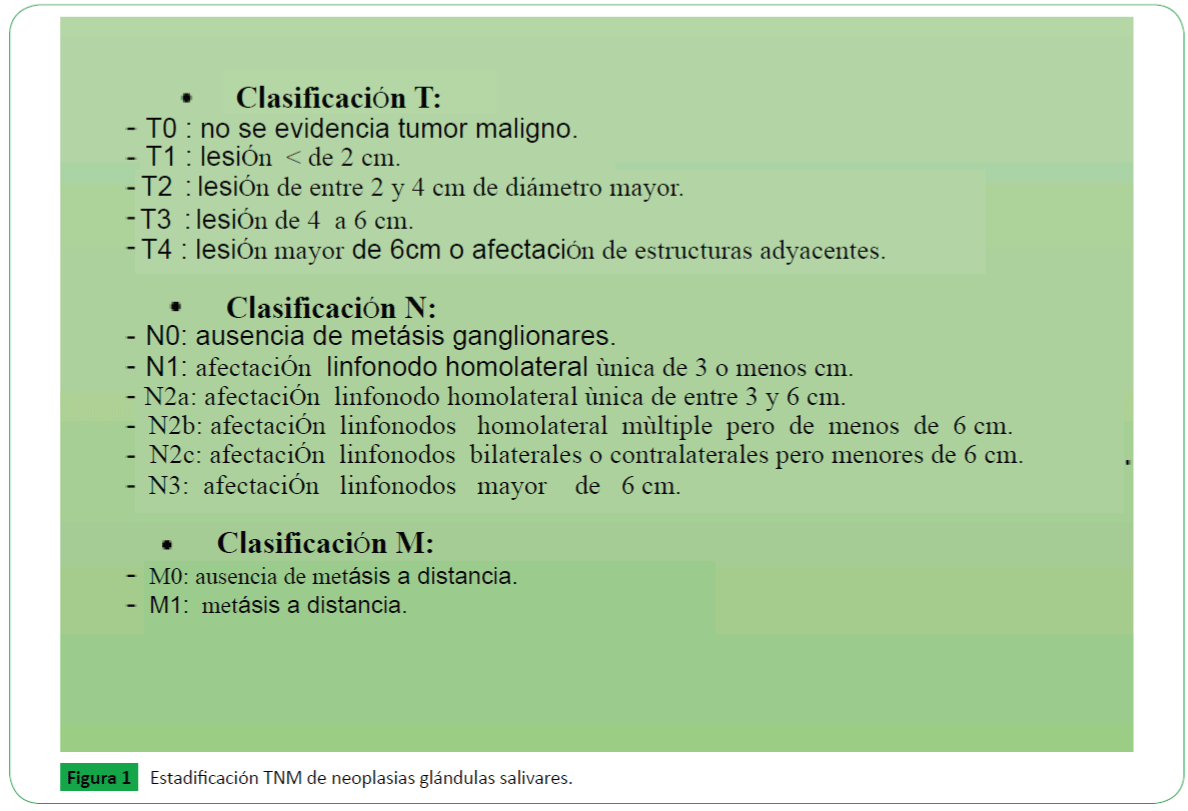 Archivos-de-Medicina-TNM-de-neoplasias