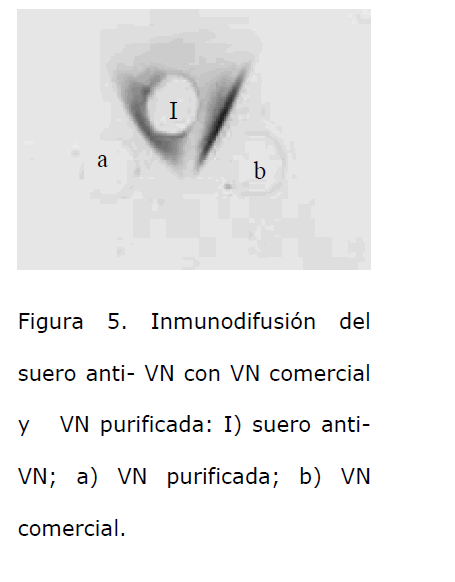 Archivos-de-Medicina-VN-purificada