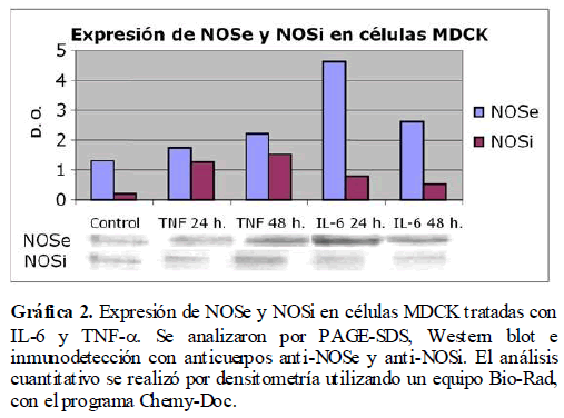 Archivos-de-Medicina-analizaron-PAGE-SDS