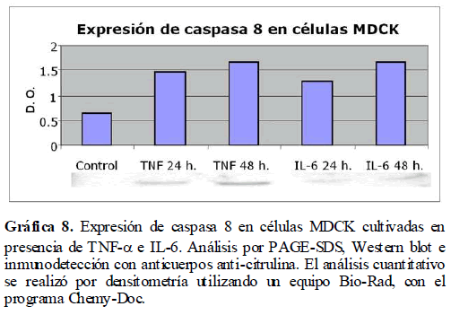 Archivos-de-Medicina-anti-citrulina