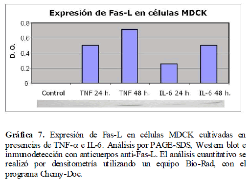 Archivos-de-Medicina-anticuerpos-anti-Fas