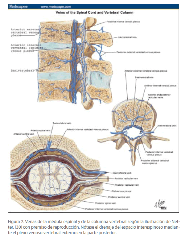 Archivos-de-Medicina-columna-vertebral