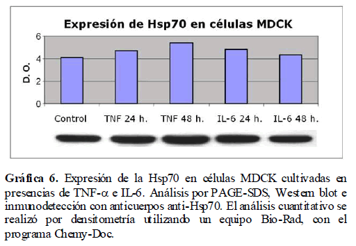 Archivos-de-Medicina-densitometria-utilizando