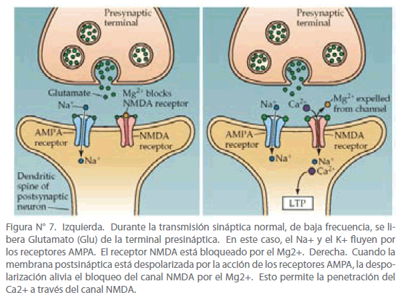 Archivos-de-Medicina-despolarizada-por