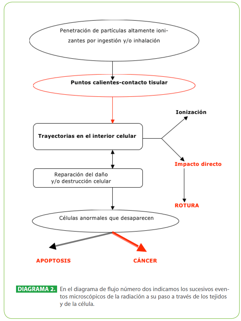 Archivos-de-Medicina-diagrama-flujo