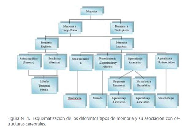 Archivos-de-Medicina-diferentes-tipos