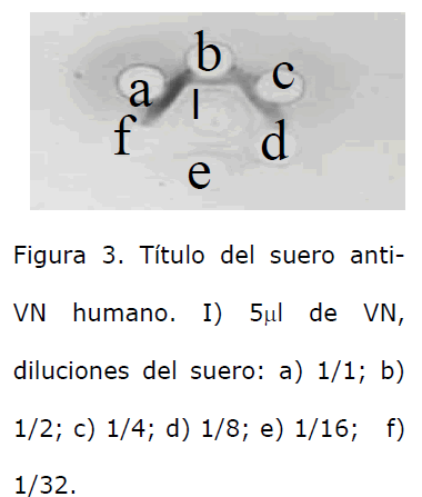 Archivos-de-Medicina-diluciones-del-suero