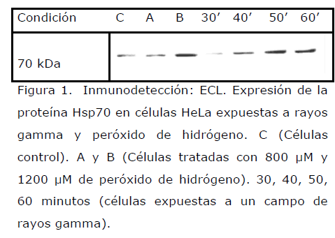 Archivos-de-Medicina-expuestas-campo