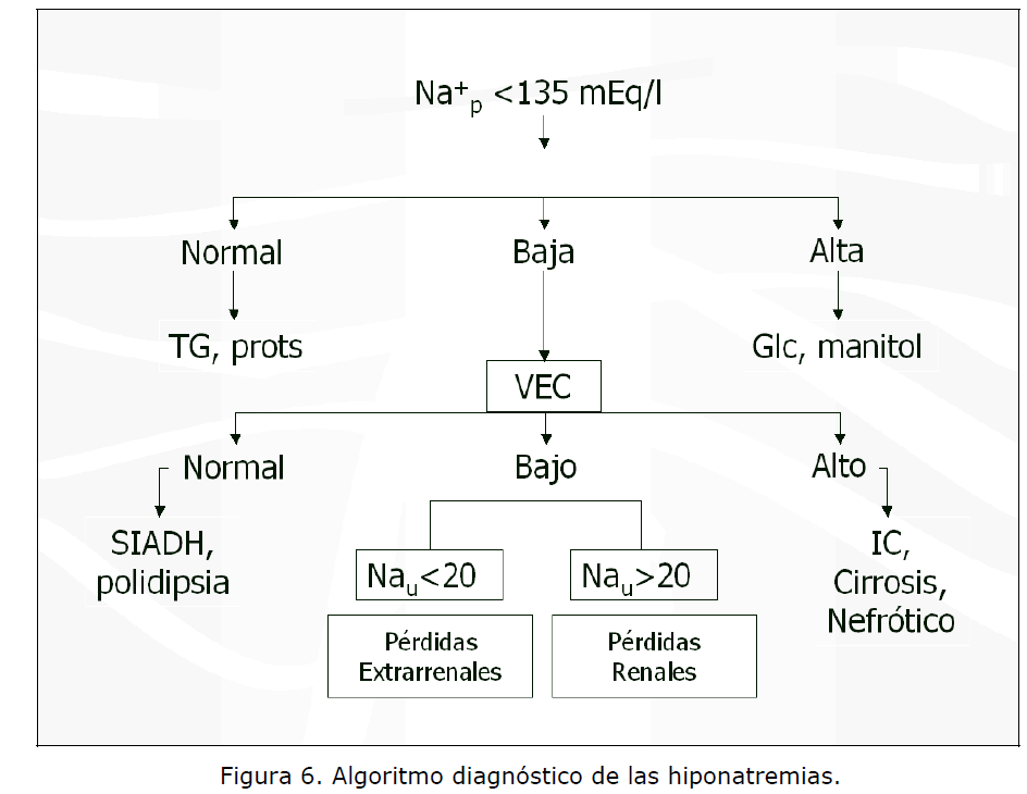 Archivos-de-Medicina-las-hiponatremias