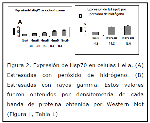 Archivos-de-Medicina-rayos-gamma