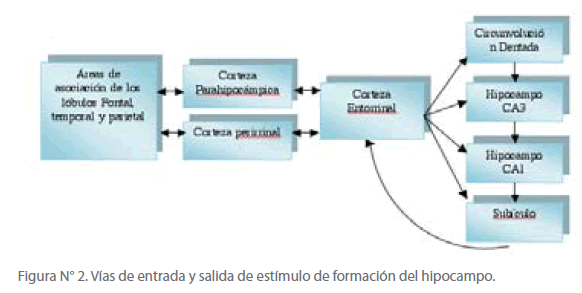 Archivos-de-Medicina-salida-estimulo