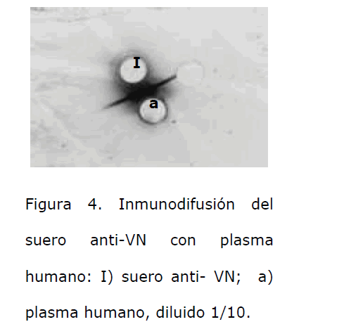 Archivos-de-Medicina-suero-anti-VN