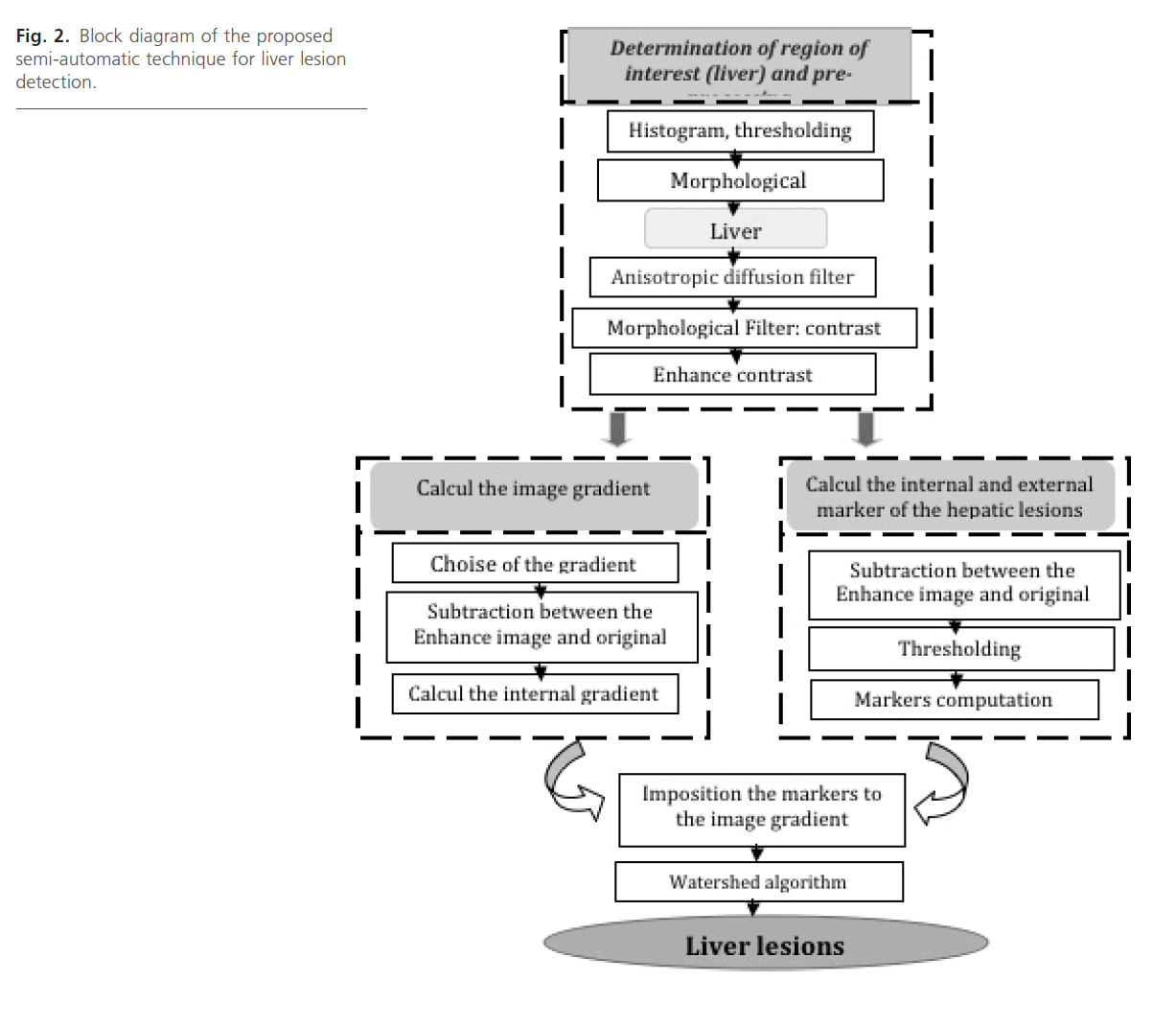 Biomedical-Sciences-Block-diagram