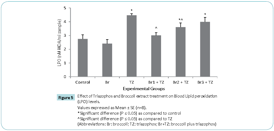 Biomedical-Sciences-Effect-Triazophos-Broccoli-extract-treatment-Blood-Lipid-peroxidation